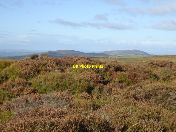 Photo 6"x4" Tumulus on the summit of Minton Hill Asterton c2021