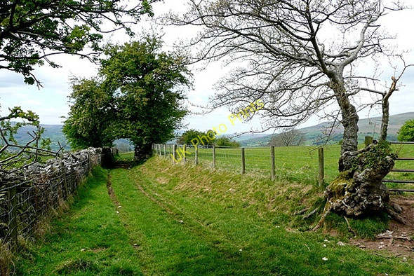 Photo 6"x4" Bridleway to Pen-twyn Llangenny c2009