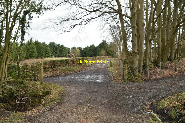 Photo 6"x4" Footpath junction Broad Oak\/TQ6022 c2021