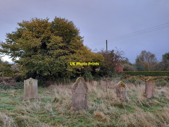 Photo 6"x4" Graveyard at St Martin's, Thompson Pockthorpe\/TL9196 c2021
