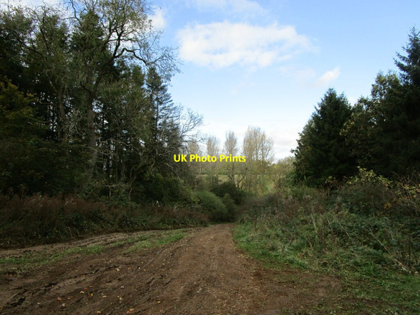 Photo 6"x4" The Drift Skillington c2021