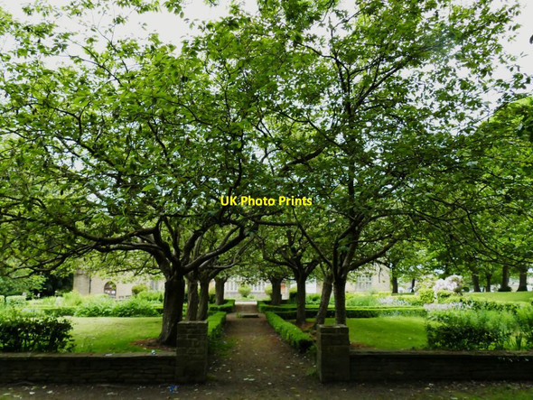 Photo 6"x4" Bolling Hall: avenue of trees Bradford\/SE1632 c2021