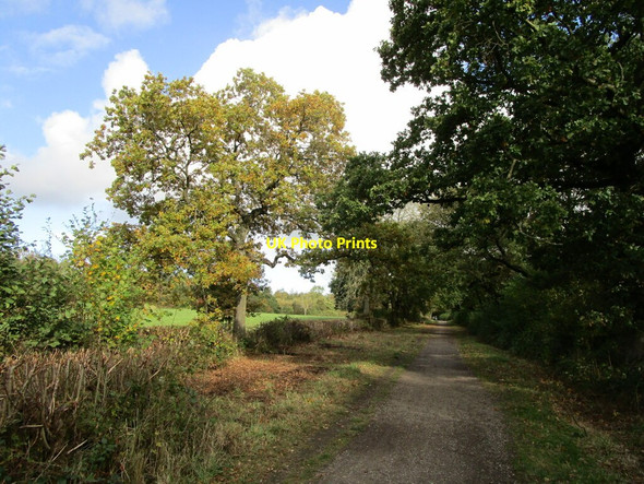 Photo 6"x4" Path in Brierley Forest Park Sutton In Ashfield c2021 P1