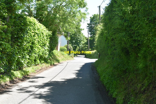 Photo 6"x4" Heydon Lane Elmdon\/TL4639 c2021