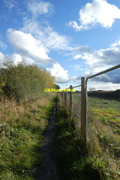 Photo 6"x4" Fence along the footpath York\/SE5951 c2021