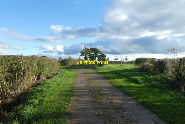 Photo 6"x4" Germany Lane Fulford\/SE6149 c2021