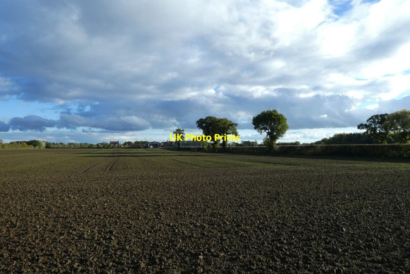 Photo 6"x4" Fields near Lodge Farm Fulford\/SE6149 c2021