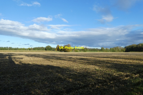Photo 6"x4" Field beside Forest Lane Crockey Hill c2021