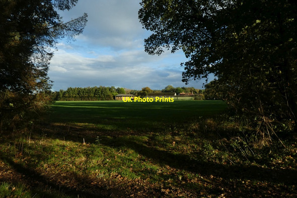 Photo 6"x4" Field near Tillmire Farm Crockey Hill c2021