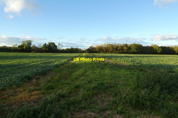 Photo 6"x4" Dead end bridleway Crockey Hill c2021