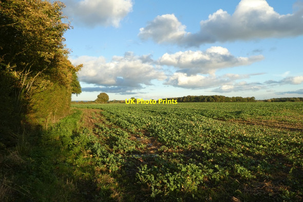 Photo 6"x4" Fields beside the A64 Crockey Hill c2021