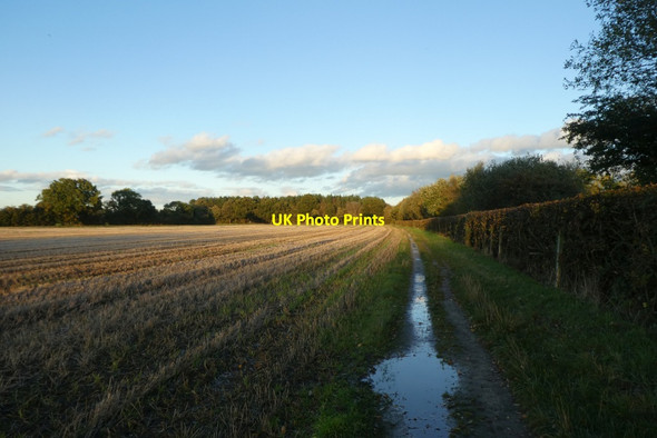 Photo 6"x4" Path beside the A64 Crockey Hill c2021
