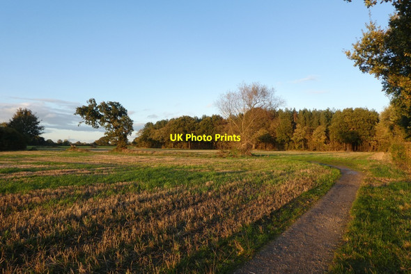 Photo 6"x4" Bend in the path Crockey Hill c2021