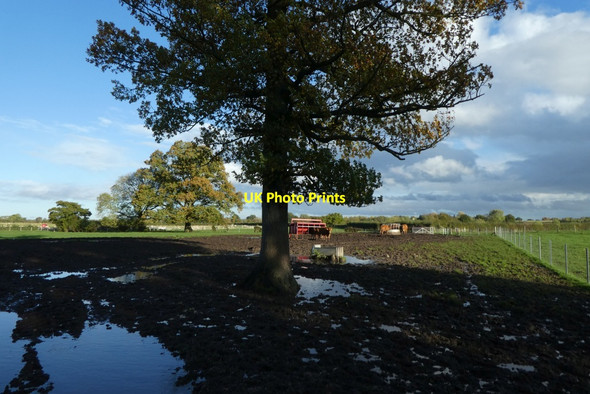 Photo 6"x4" Muddy field near Murton Murton\/SE6552 c2021