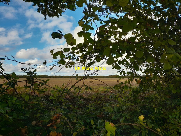 Photo 6"x4" A Glimpse of Norfolk Watton\/TF9100 c2021