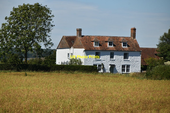 Photo 6"x4" The Old Oak Newchurch\/TR0531 c2020