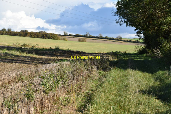 Photo 6"x4" Field edge at Teffont Magna Teffont Magna c2021