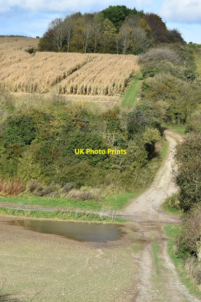 Photo 6"x4" Muddy dip below Teffont Down Teffont Magna c2021