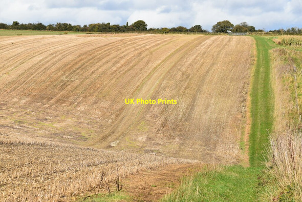 Photo 6"x4" Bridleway dipping into dry valley on Teffont Down Teffont Magna c2021