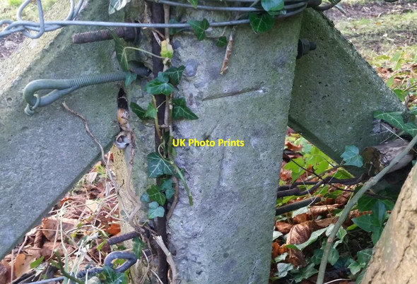 Photo 6"x4" Ordnance Survey Cut Mark Coombe Dingle c2021 P3