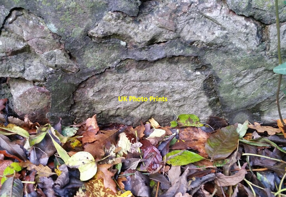 Photo 6"x4" Ordnance Survey Cut Mark Coombe Dingle c2021 P4