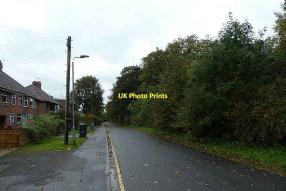 Photo 6"x4" Windmill Lane Heslington c2021