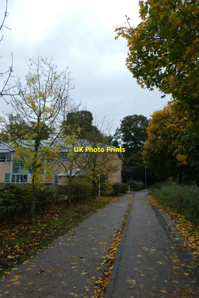 Photo 6"x4" Path to Windmill Lane Heslington c2021