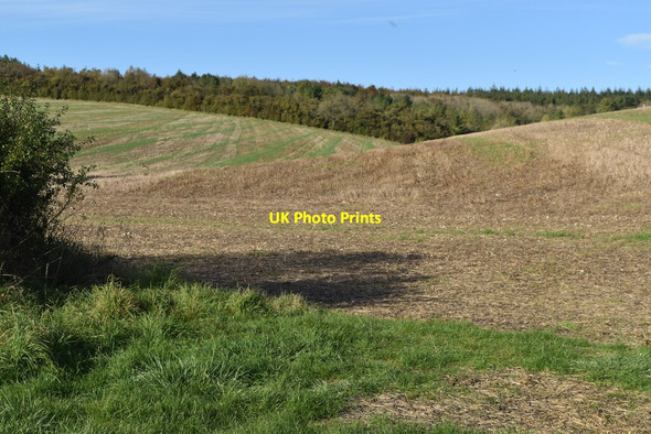Photo 6"x4" Rolling downland below Middle Hills Dinton\/SU0131 c2021
