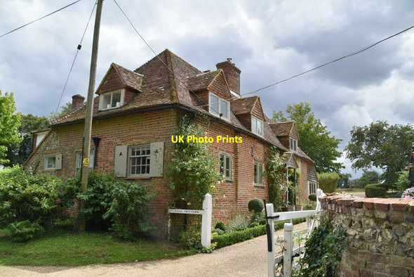 Photo 6"x4" Hazel Tree Farm Hassell Street c2020 P1