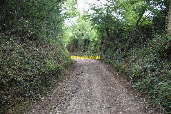 Photo 6"x4" Byway (Hassell Street) Hassell Street c2020