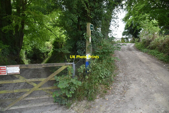 Photo 6"x4" Footpath, byway junction Hassell Street c2020