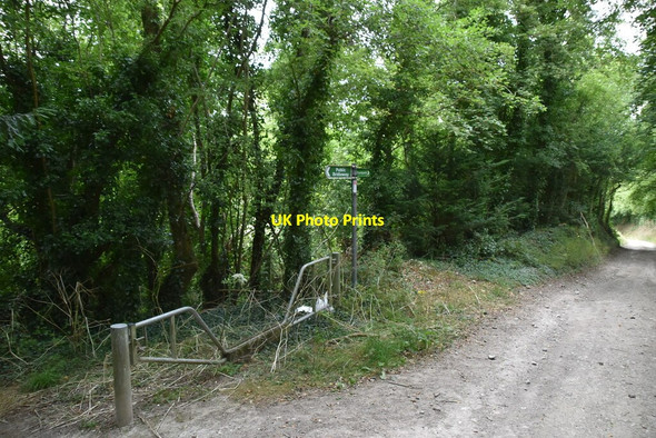 Photo 6"x4" Byway, bridleway, footpath junction Hassell Street c2020