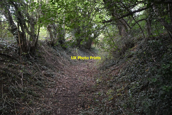 Photo 6"x4" Sunken footpath Hassell Street c2020