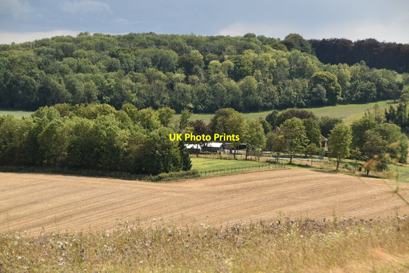 Photo 6"x4" Down Farm Hassell Street c2020