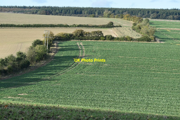Photo 6"x4" View over fields north of Baverstock Baverstock c2021
