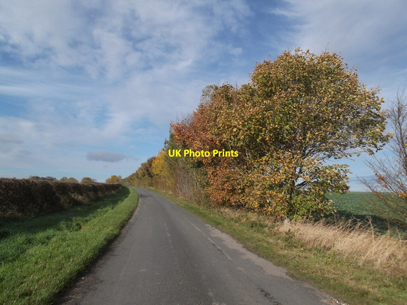Photo 6"x4" Autumn colours by the road to Thwing Thwing c2021