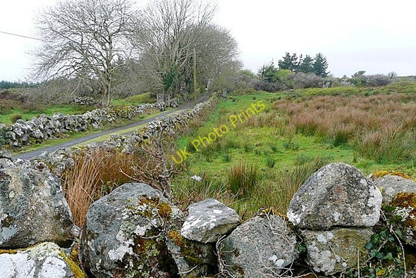 Photo 6"x4" Leitir Gungaid (Lettergunnet) Ballynahown\/M1822 c2009
