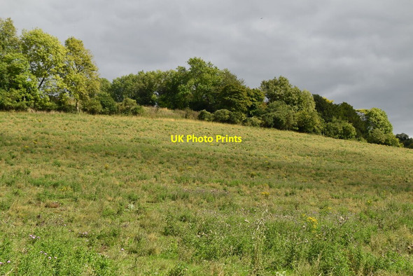 Photo 6"x4" Field in the Hambleden Valley Colstrope c2020