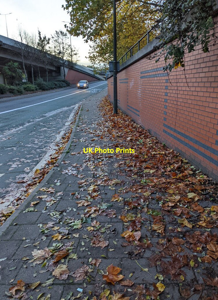 Photo 6"x4" Fallen leaves, Crindau, Newport Newport\/Casnewydd c2021