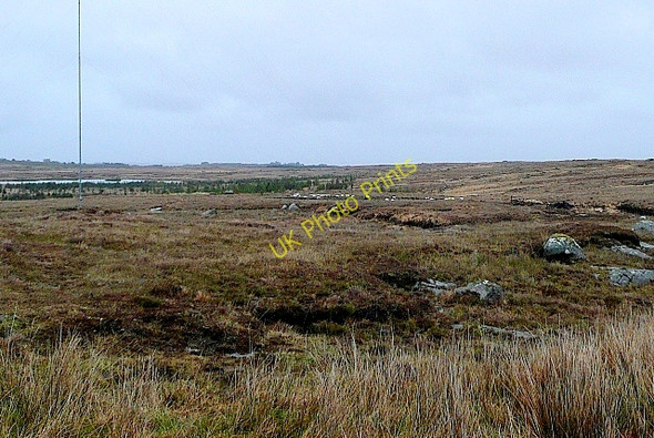 Photo 6"x4" Leitir Gungaid (Lettergunnet) Ballynahown\/M1822 c2009 P1