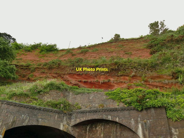 Photo 6"x4" Unconformity in the cliff at Dawlish Dawlish c2021