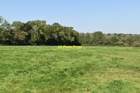Photo 6"x4" Kent pasture Cowden\/TQ4640 c2021