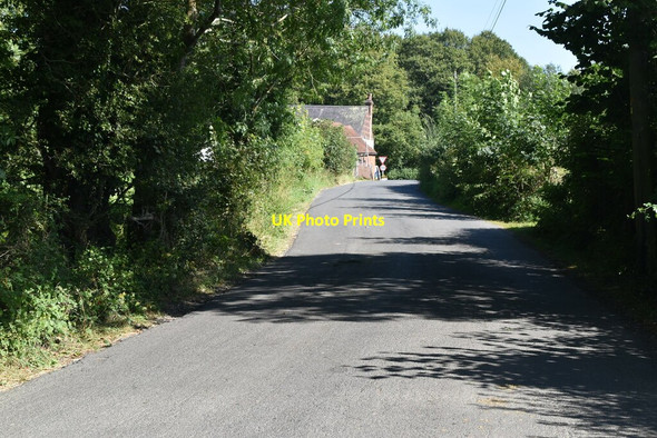 Photo 6"x4" Spode Lane Horshoe Green c2021