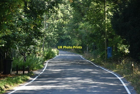 Photo 6"x4" Lane to Markbeech Horshoe Green c2021