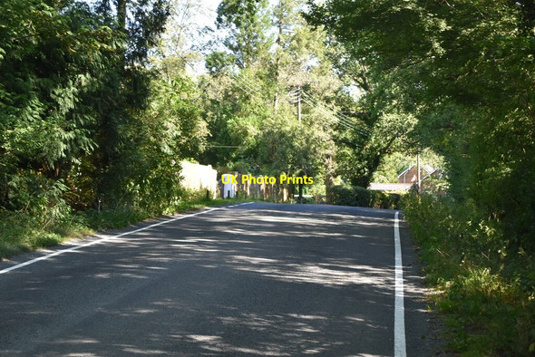 Photo 6"x4" Lane to Markbeech Horshoe Green c2021 P1