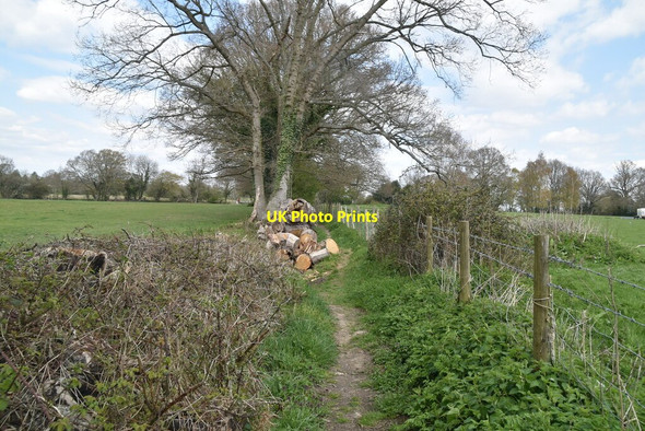 Photo 6"x4" Footpath to Tenterden Tenterden c2021