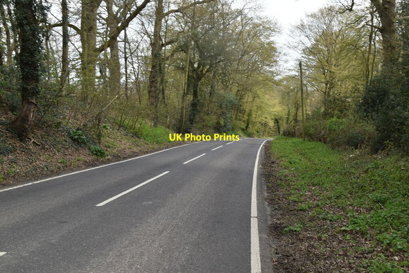 Photo 6"x4" Woodchurch Rd Tenterden c2021 P1
