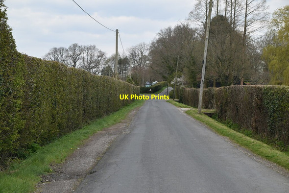 Photo 6"x4" Quiet Kentish lane Robhurst c2021