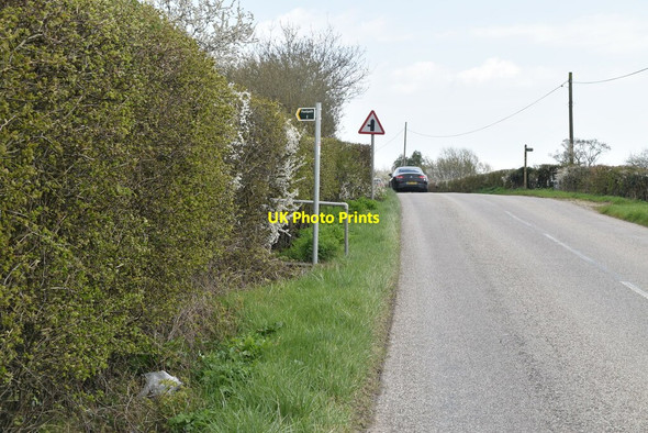Photo 6"x4" Footpath off Brook St Brook Street\/TQ9333 c2021