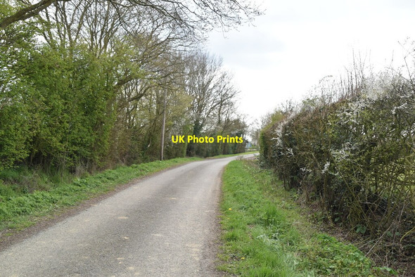 Photo 6"x4" Narrow country lane near Balcony Farm Brook Street\/TQ9333 c2021